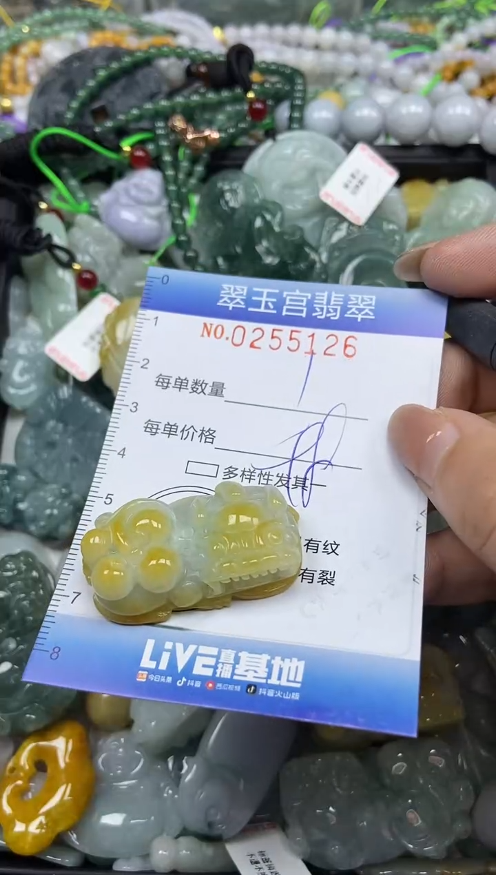 颈饰未镶嵌翡翠闪购C0255126