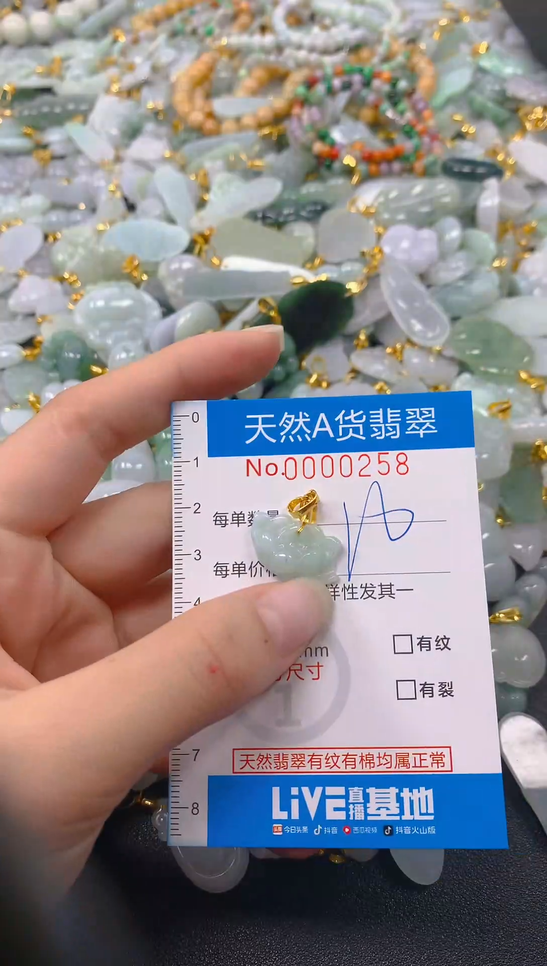 颈饰未镶嵌翡翠净货挂件-0258