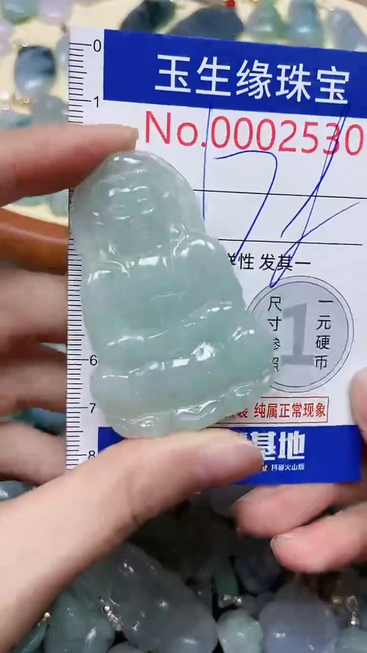 【闪购商品】翡翠颈饰未镶嵌闪购00002530