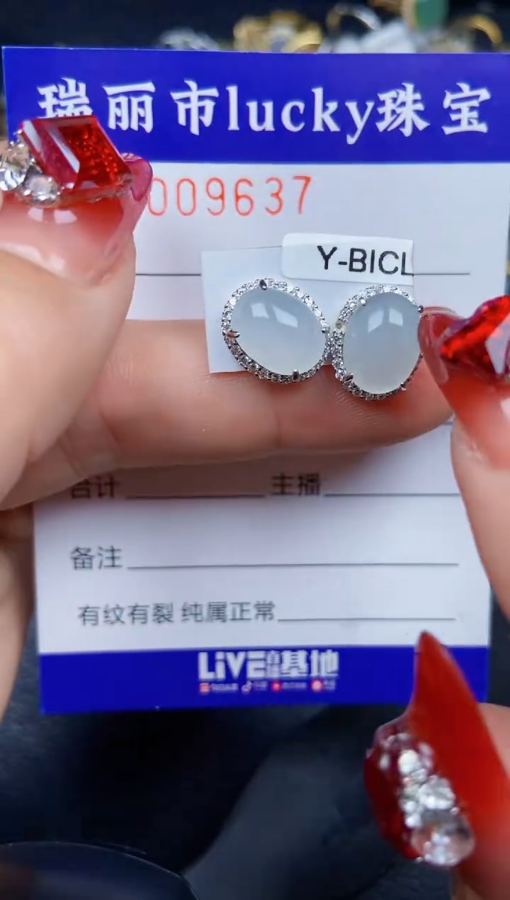 【闪购商品】翡翠颈饰银S925镶嵌9637