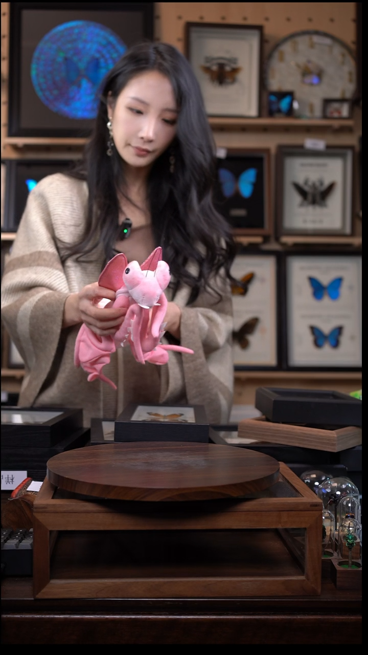 T****h兰花螳螂毛绒公仔