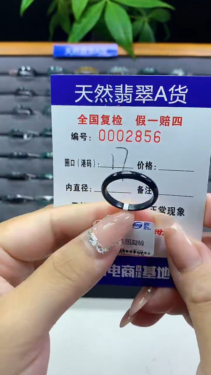 翡翠戒圈未镶嵌 天然翡翠A货2856