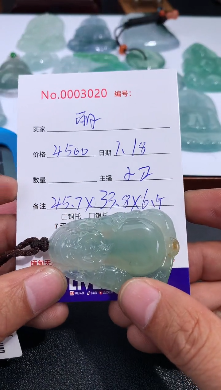 【闪购商品】翡翠颈饰未镶嵌 丽