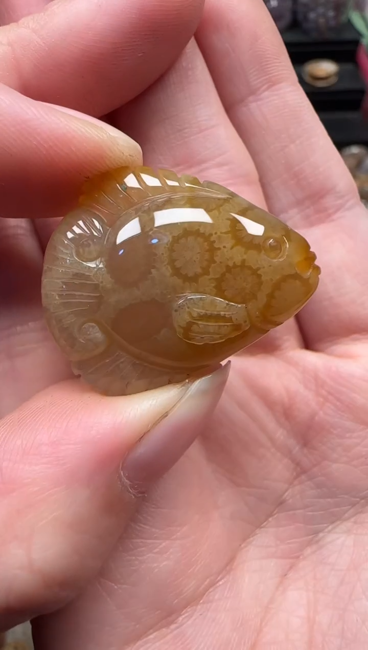 颈饰未镶嵌硅化珊瑚（珊瑚玉）628