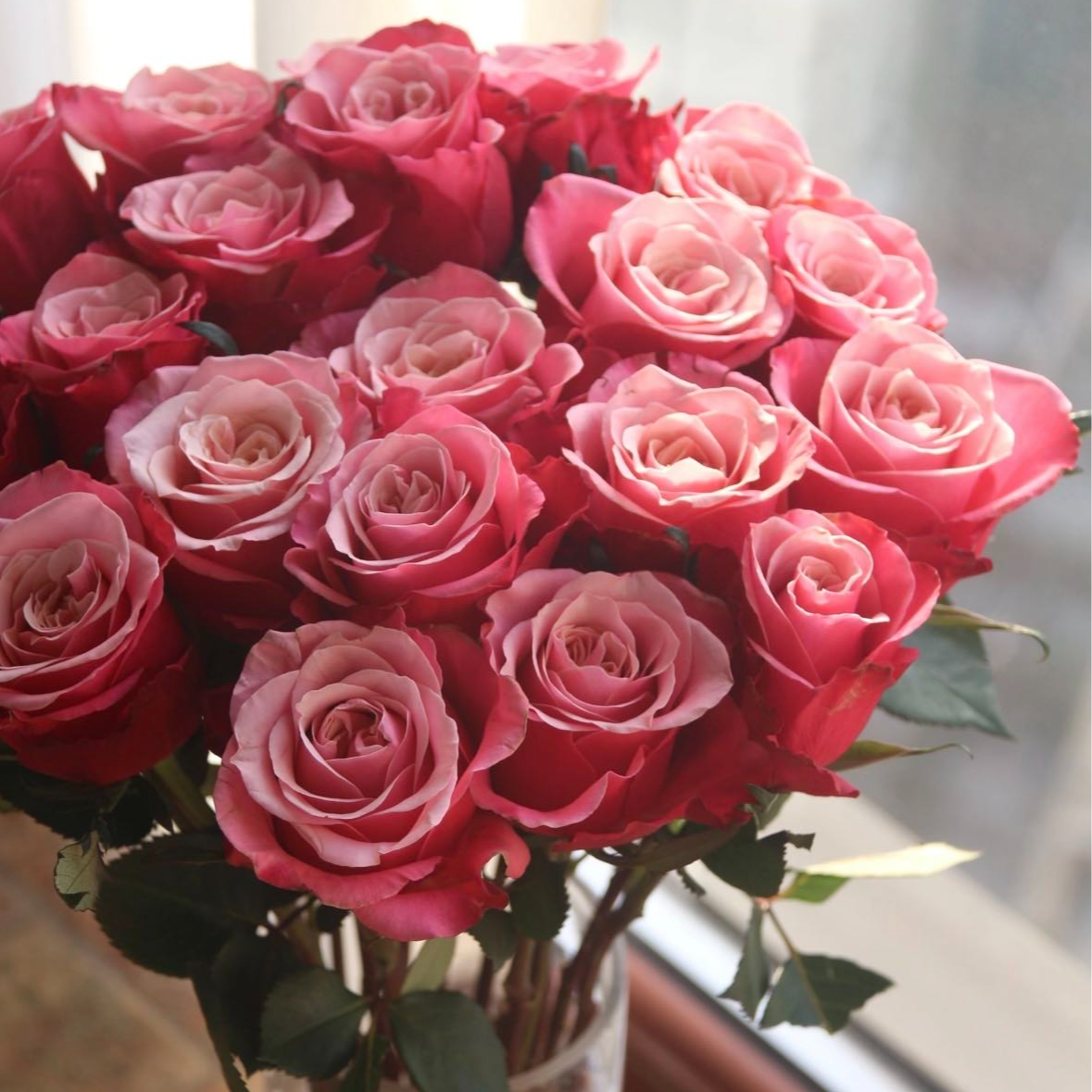 闺蜜玫瑰任意2单鲜花升级顺丰冷链/德邦空运