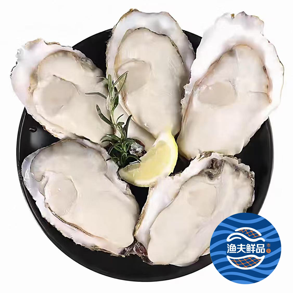 正宗乳山生蚝 新鲜海蛎子 鲜活发货包邮到家5斤10斤