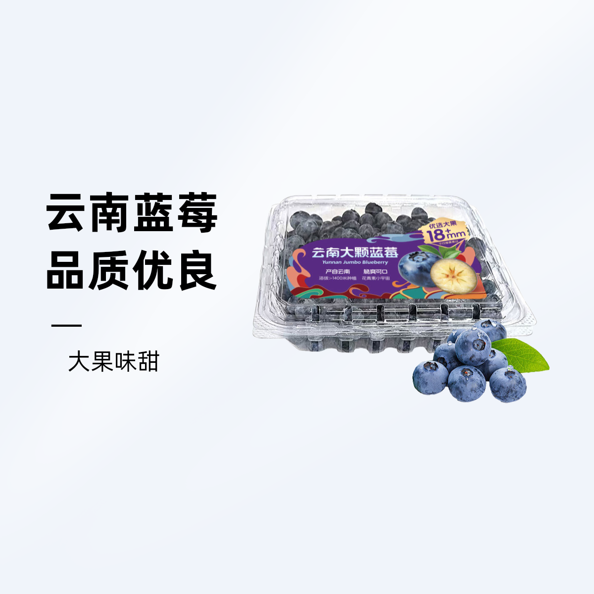 云南大颗蓝莓500g(平均单果果径18mmm+)