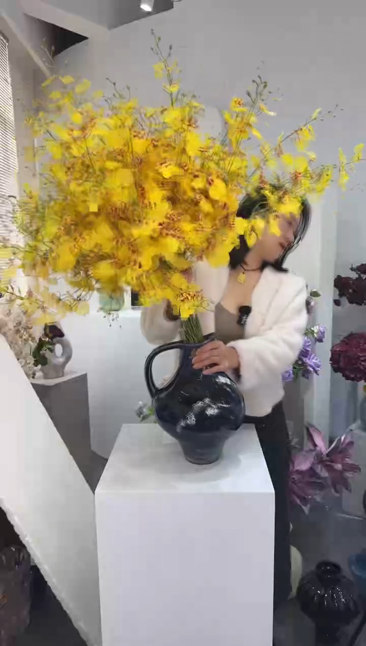 【闪购商品】藤拍10到13 黄色跳舞兰