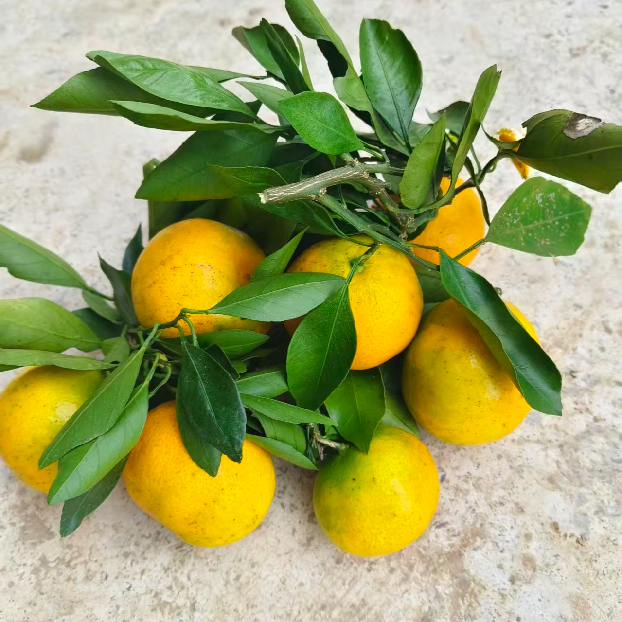 【恩施高山农家橘子】恩施山妹代购农产品