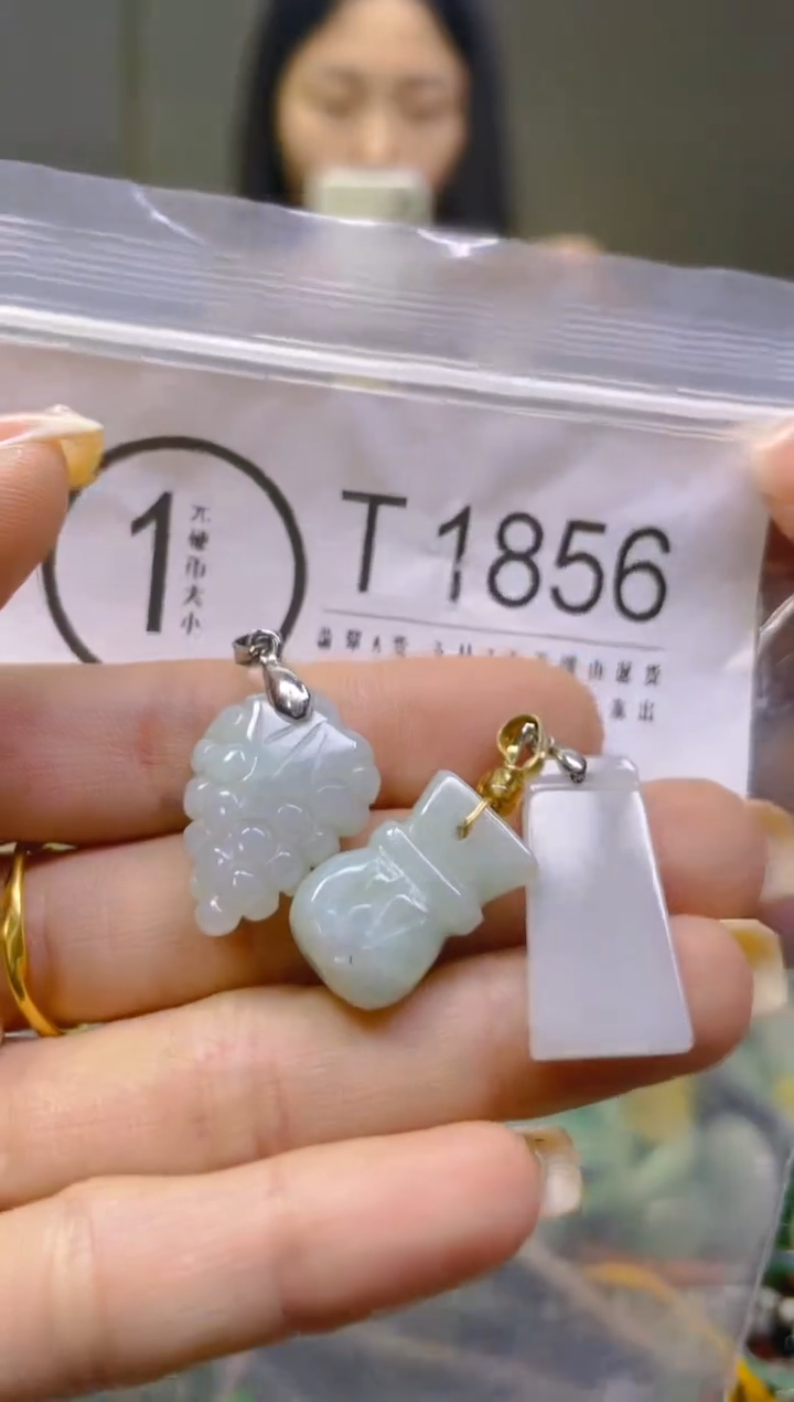 翡翠未镶嵌颈饰/T/翡翠A货一图一物