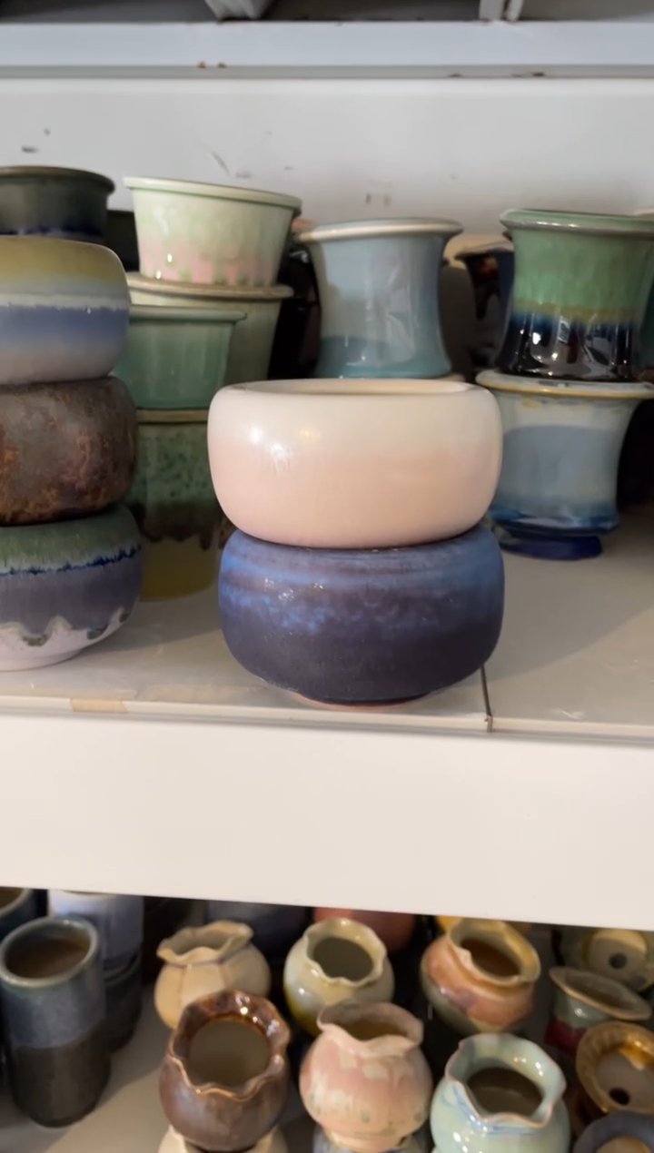 瓷片芋***o040小芳直播编号