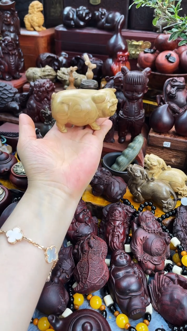 木金丝楠木猪（直播间)