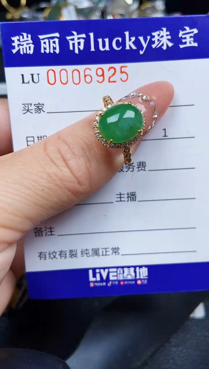 翡翠银S925镶嵌颈饰6925