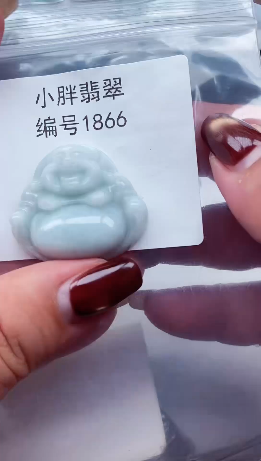 颈饰未镶嵌翡翠缅甸天然A货翡翠1866