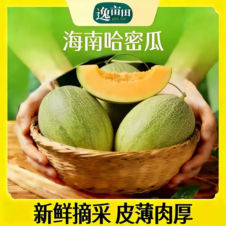 Z 海南哈密瓜一藤一瓜脆甜多汁新鲜当季水果（2-3个装）