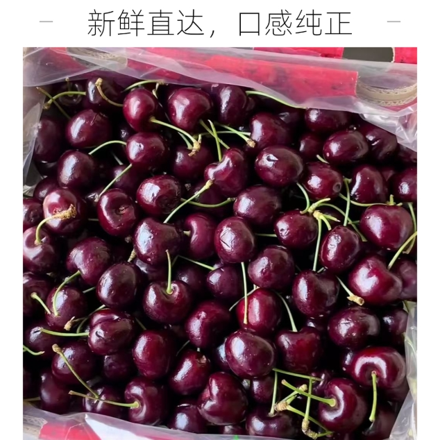 红8【智利海运车厘子 4J】1/2/原箱（净果5斤） 10个之内不赔偿