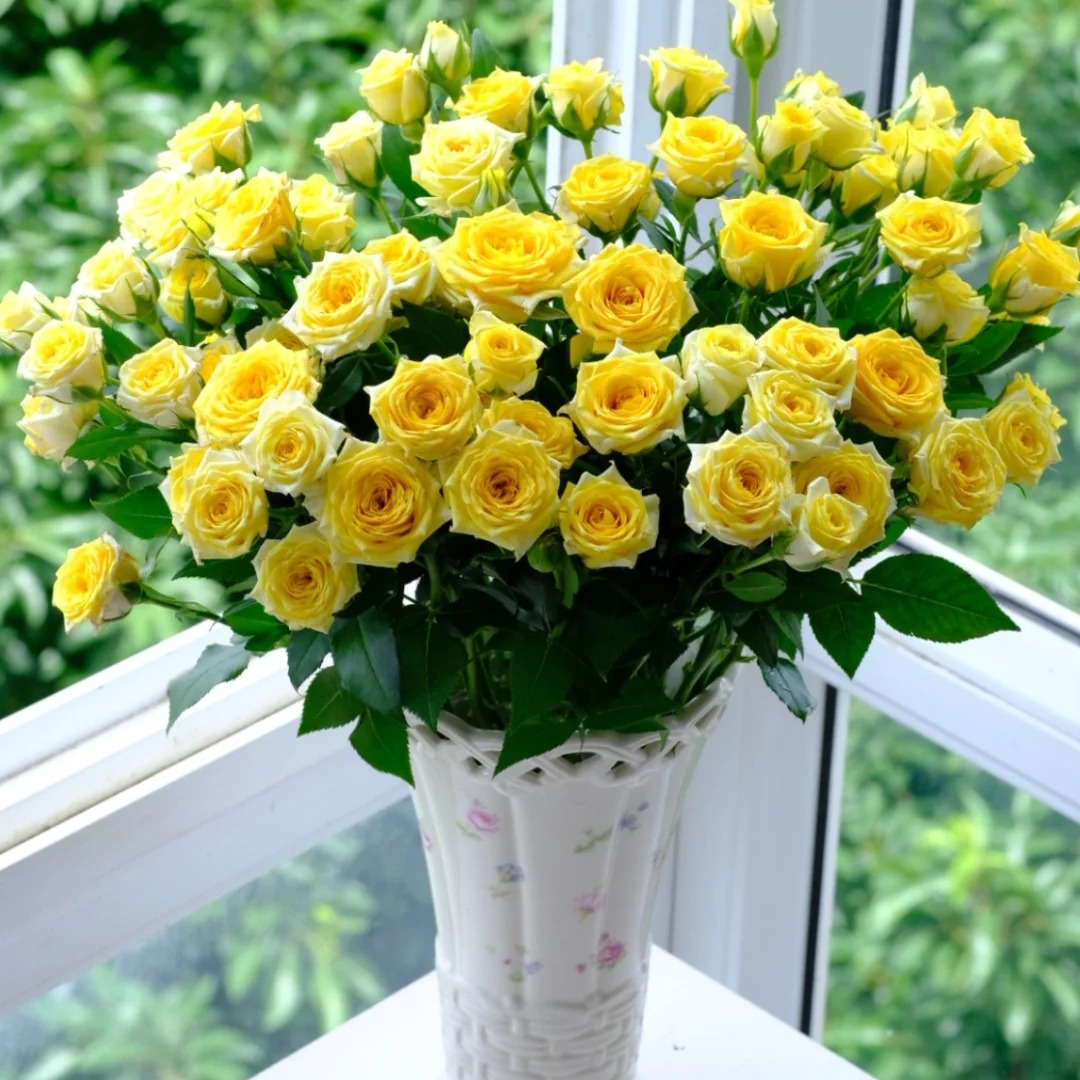 【静静甄选】娃娃公主-多头玫瑰-任意2单鲜花包邮 发货后不支持退款