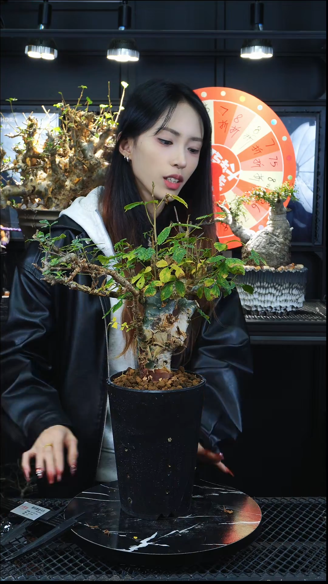 图坎11111111111111