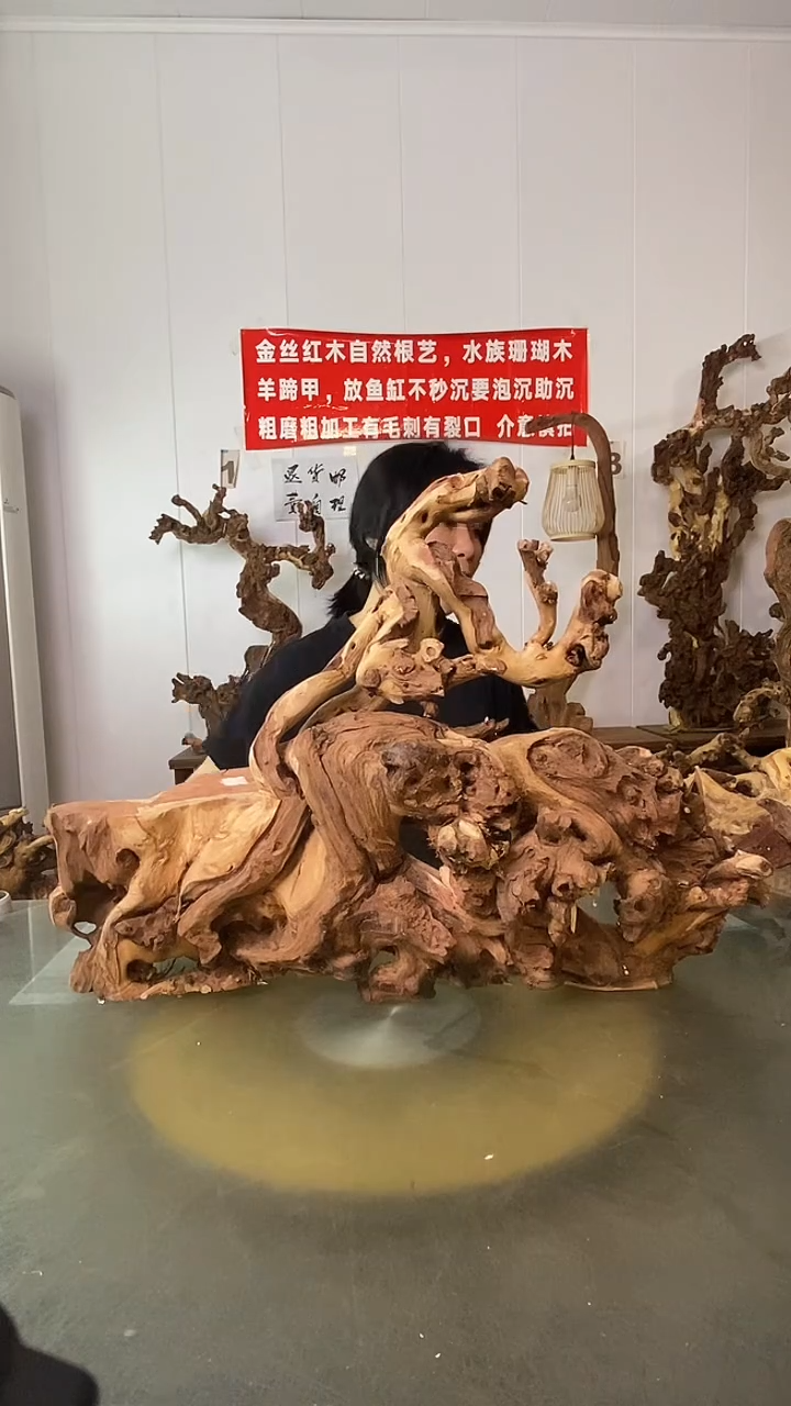 香榧木爱**树金丝红木 羊蹄甲