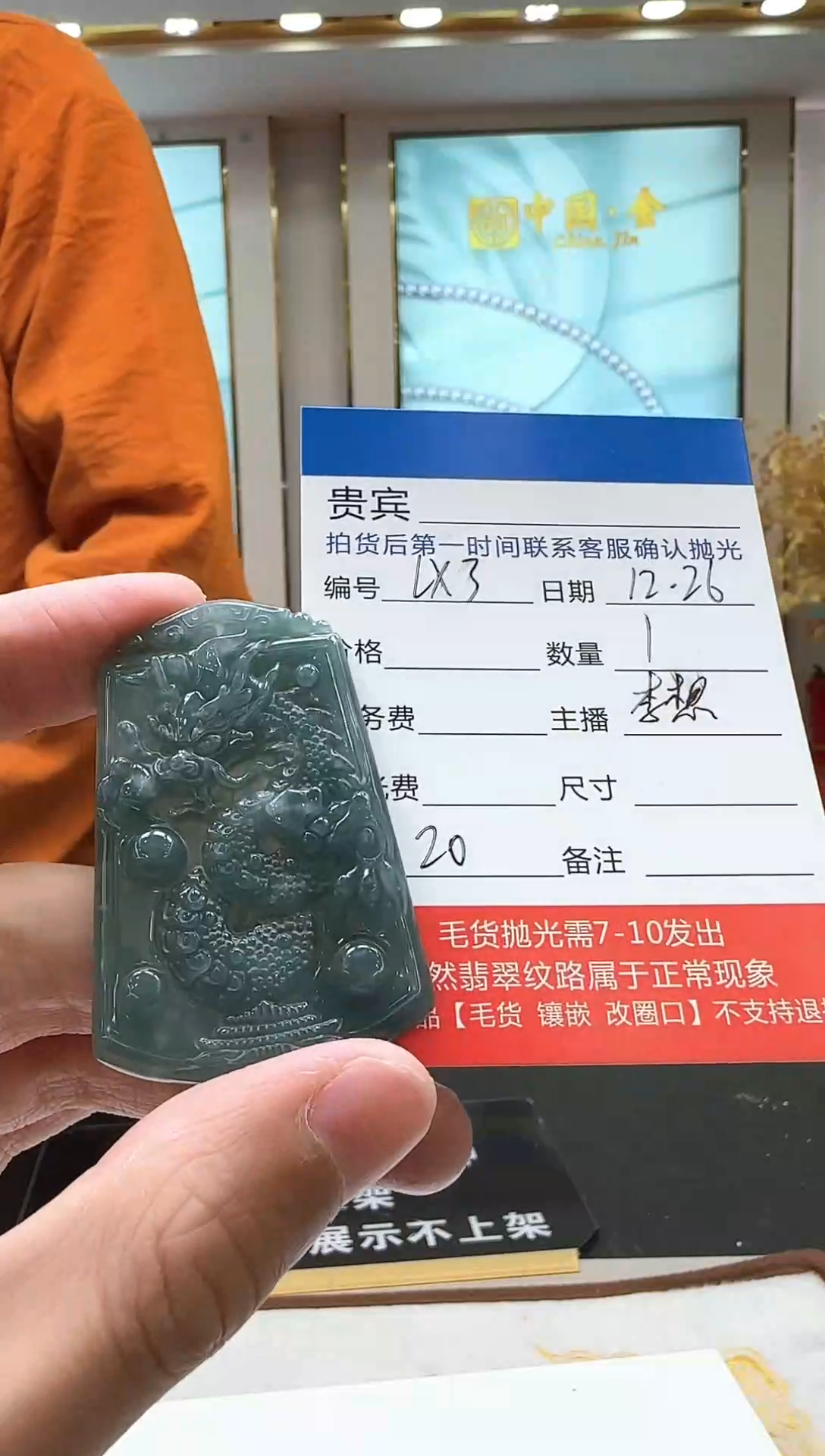 颈饰未镶嵌翡翠LX3翡翠吊坠-多样性发其一