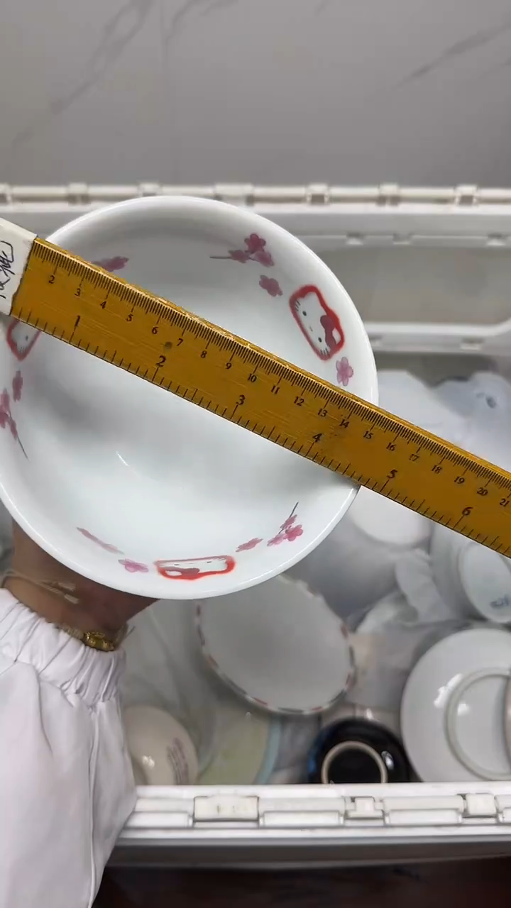 【闪购商品】923回流瓷器默认微瑕，18.8包邮