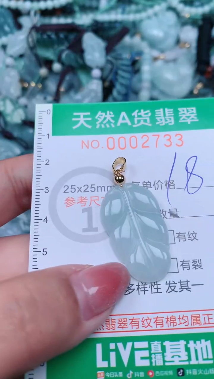 【闪购商品】翡翠颈饰未镶嵌.0002733