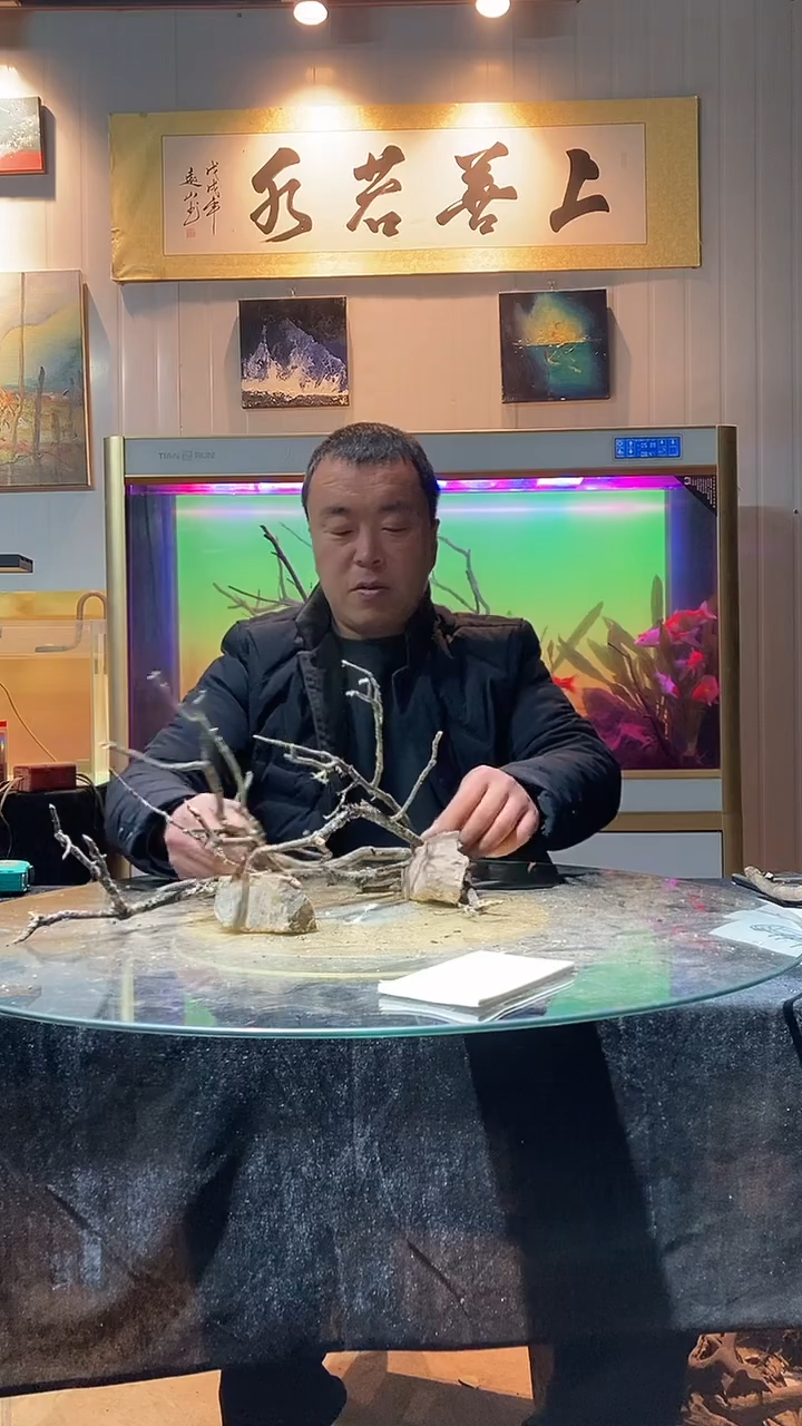 182号天然黄栎木