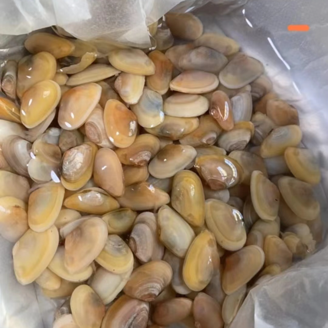 海瓜子1斤（白壳绿壳随机发)南昌同城配送到家