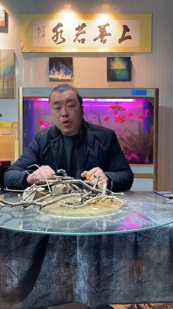 133号天然黄梨枝一组适合40-50缸