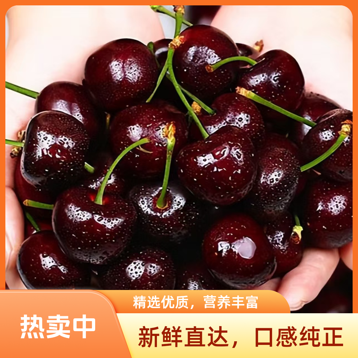 【4JD车厘子原箱五斤】智利海运车厘子SKEENA（第N船）进口大樱桃4JD拉宾斯5斤装当季新鲜水果