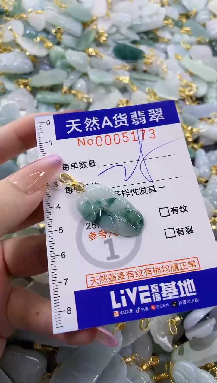 颈饰未镶嵌翡翠天然A货翡翠