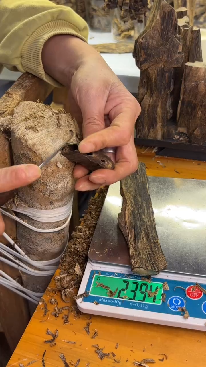 沉香沉香碎屑张勺子品种23克