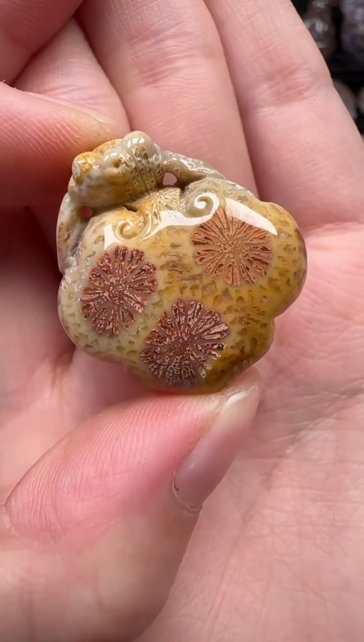 颈饰未镶嵌硅化珊瑚（珊瑚玉）623