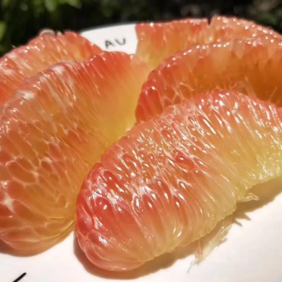 【陈灵岳甄选】泰国进口金柚一份2/4粒 净重3-6斤