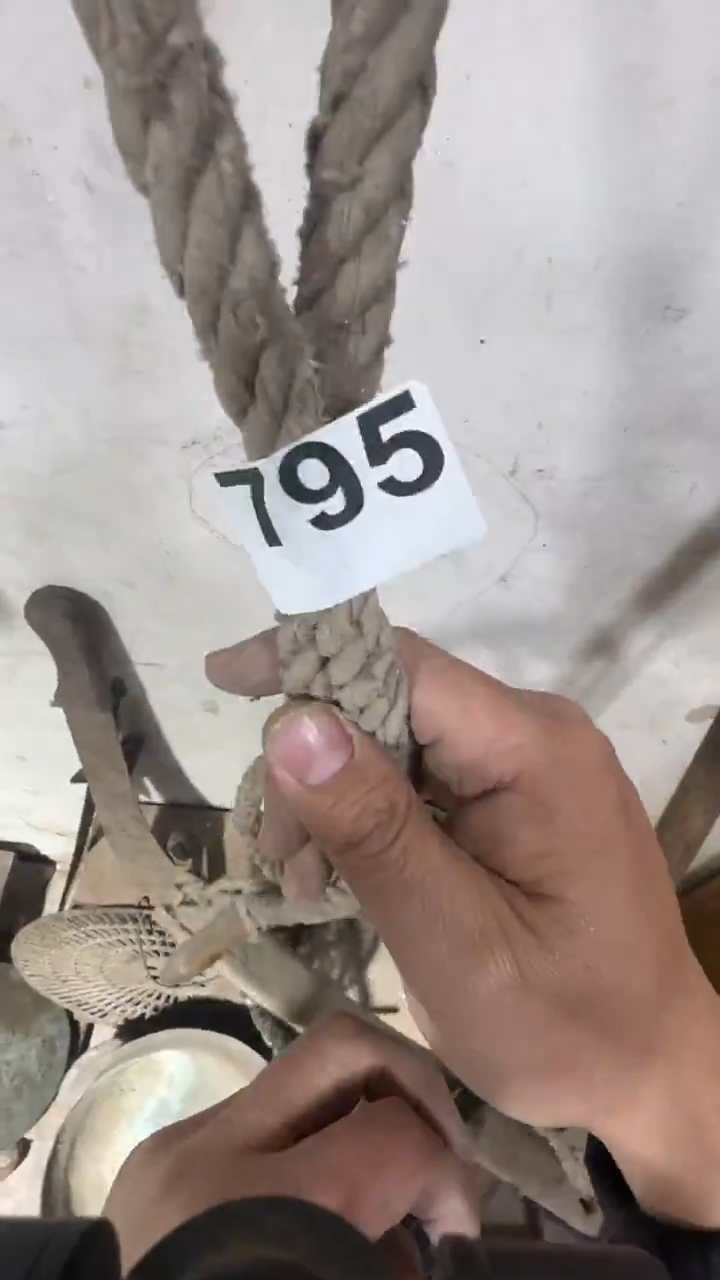 米*儿闪购0616小龙专属链接