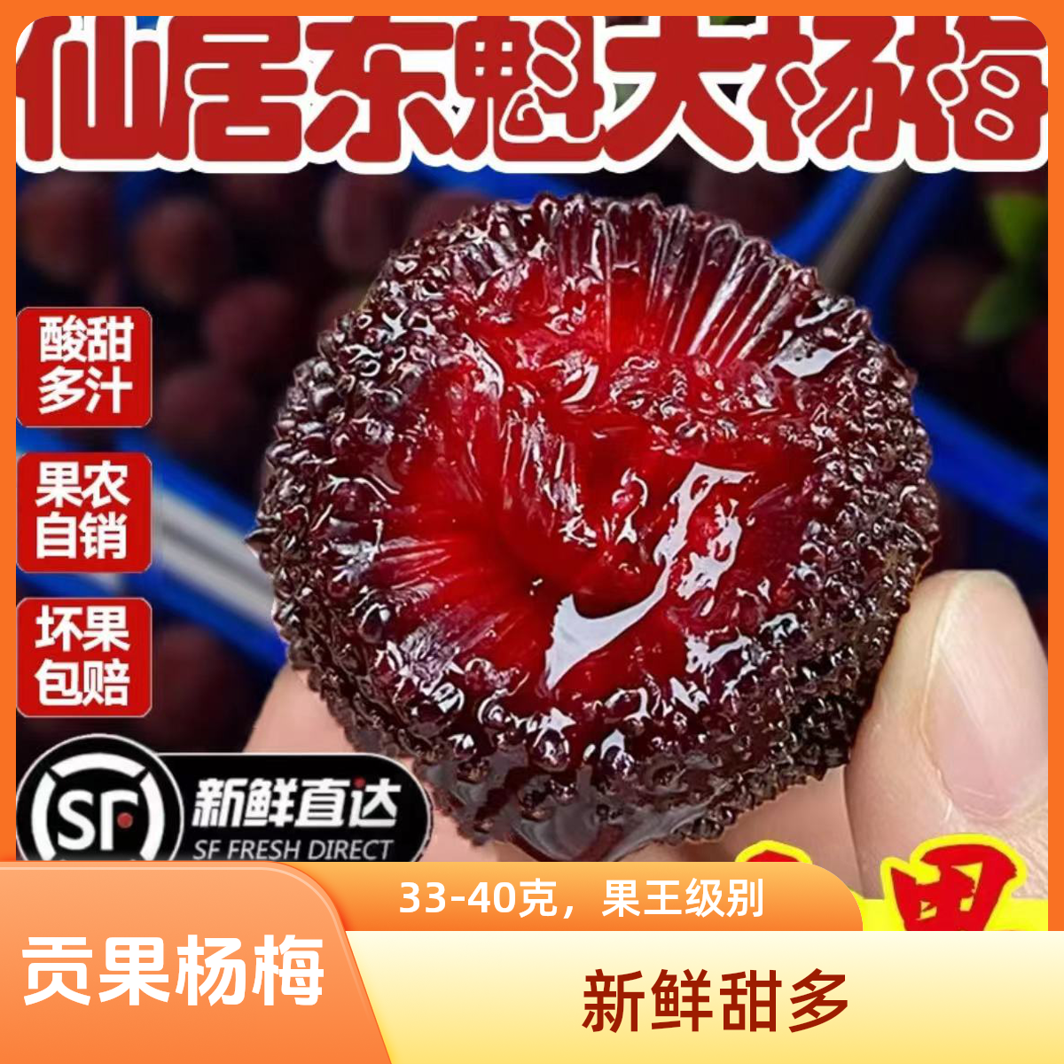 11A果王级别新鲜现采浙江仙居东魁杨梅大果鲜甜多汁孕妇水果