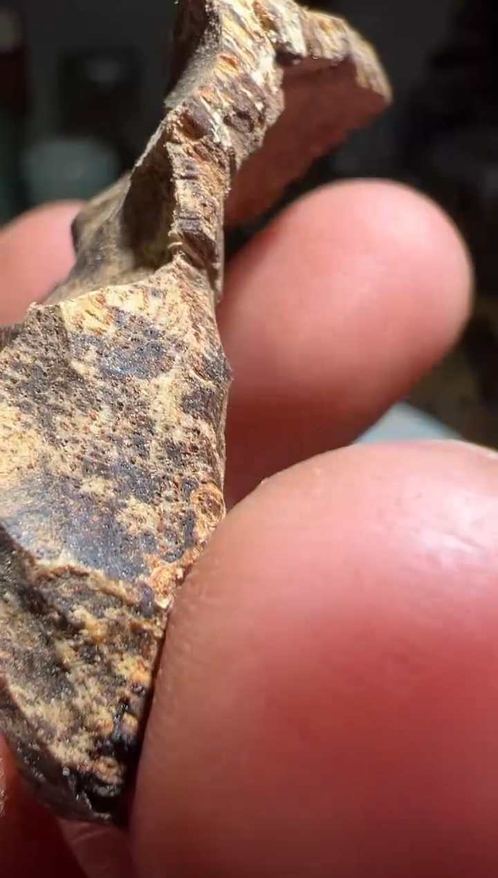 【闪购商品】沉香沉香碎屑海南4.2克