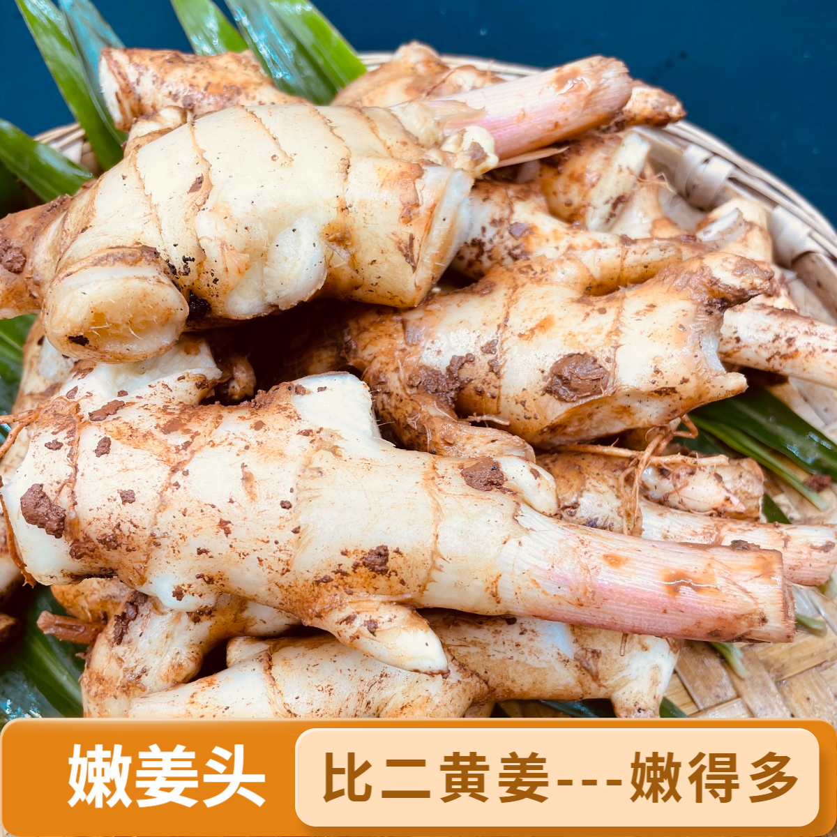 嫩姜头四川姜红头断姜新鲜仔姜把子带泥姜生姜尾货鱼火锅泡姜原料