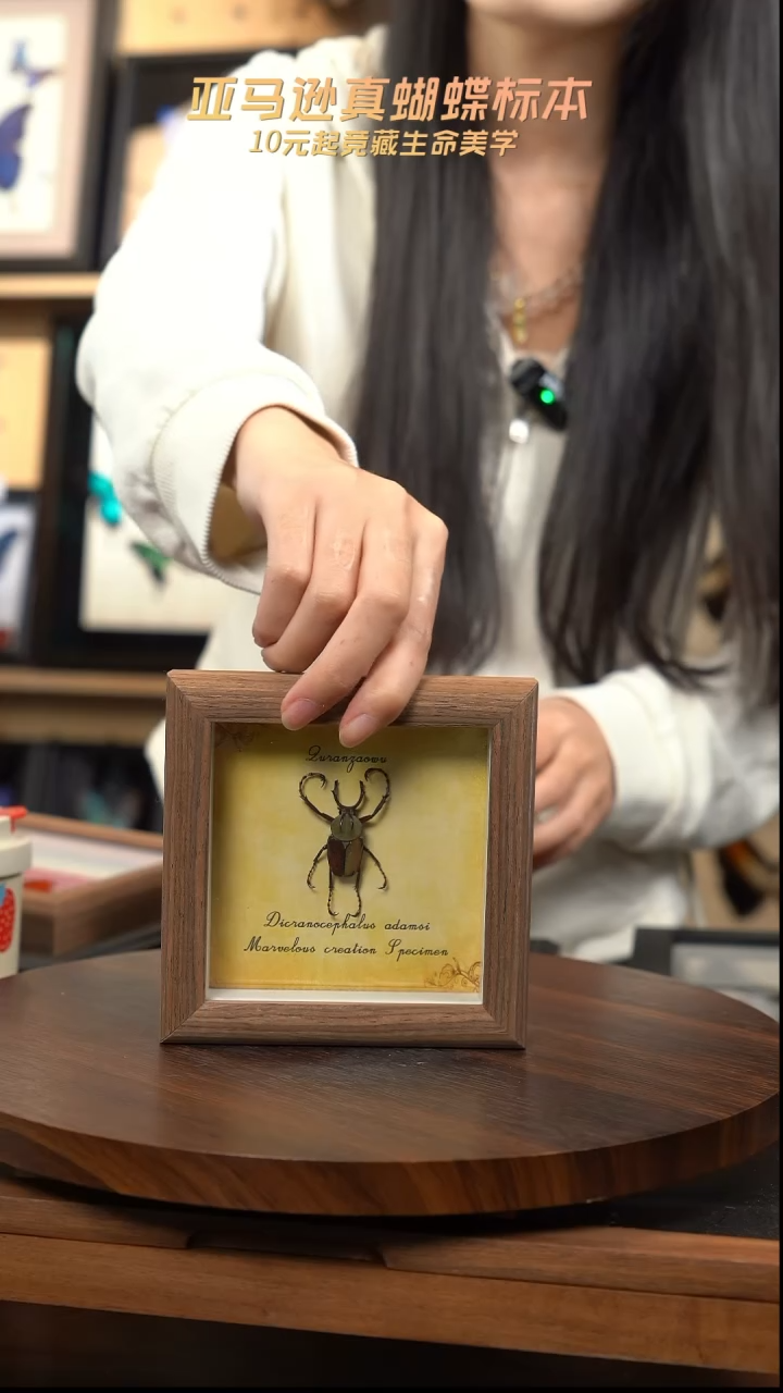 鹿角花金龟4寸木纹方框