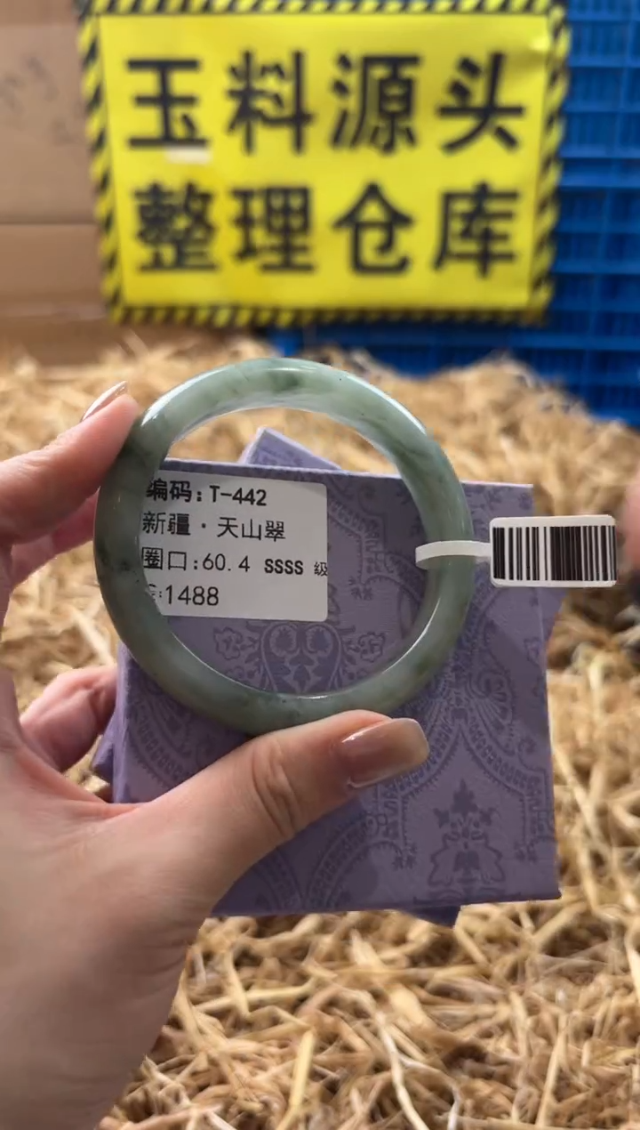 未镶嵌手镯石英质玉T-442