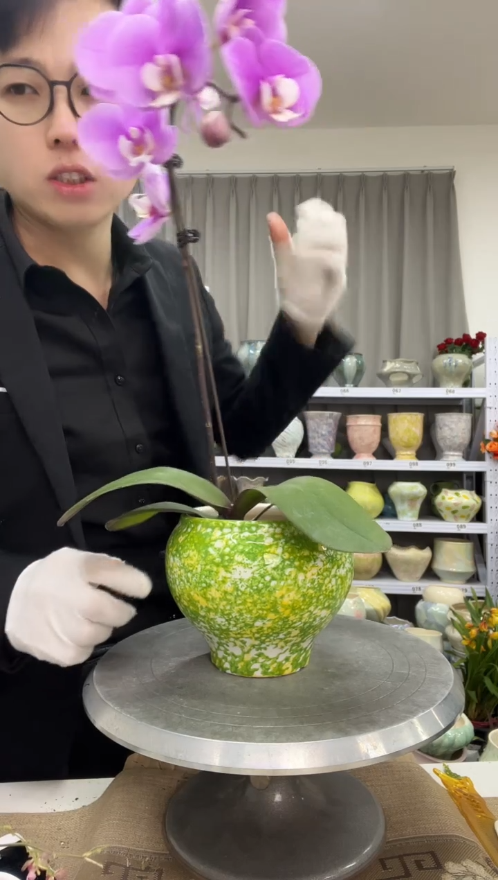 【12.31】花盆链接 高： 11 口：12