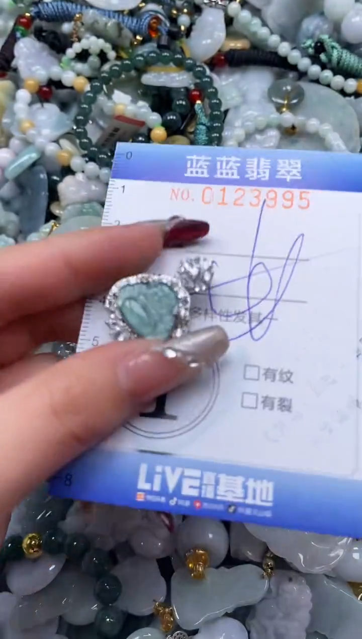 【闪购商品】翡翠颈饰未镶嵌闪购0123995多样性发其一