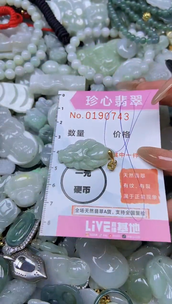 翡翠未镶嵌颈饰闪购链接0190743