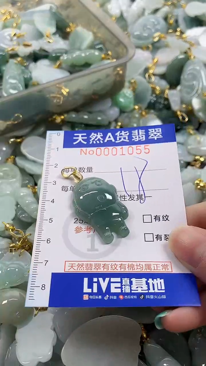 颈饰未镶嵌翡翠纯天然a货翡翠