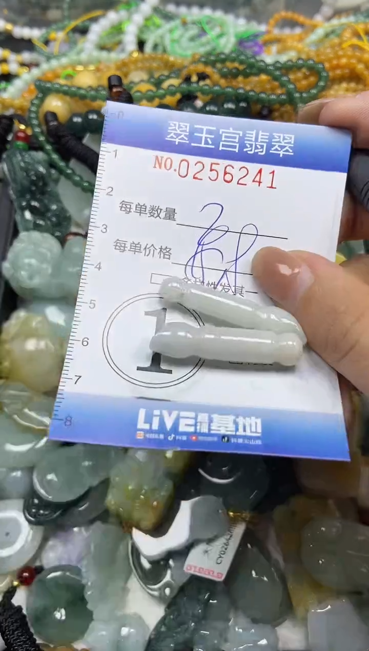 颈饰未镶嵌翡翠闪购C0256241