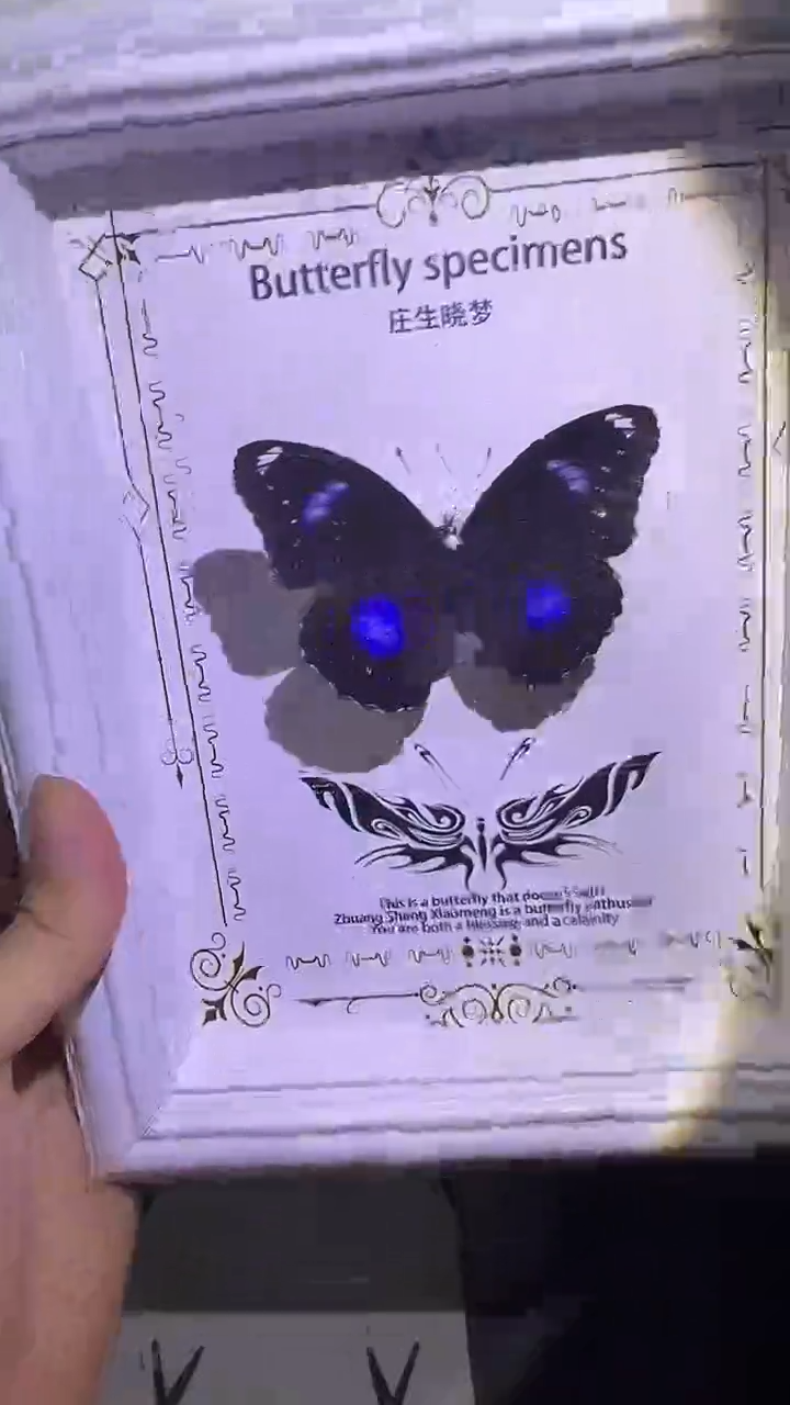 幻紫夹蝶欧版相框