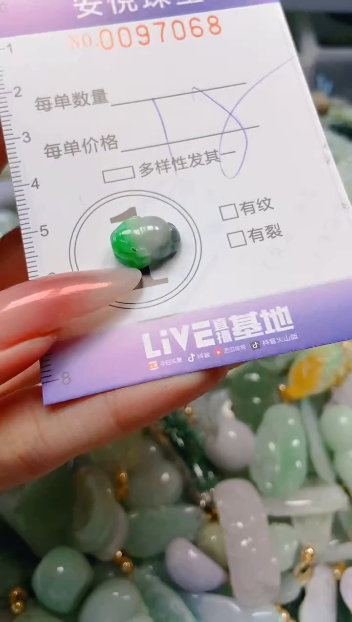 【闪购商品】翡翠颈饰未镶嵌闪购0097068