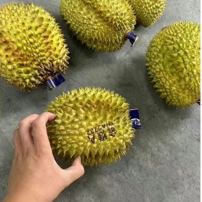 妮子【一物一拍顺丰包邮】泰国树熟金枕榴莲鲜果带壳一整颗