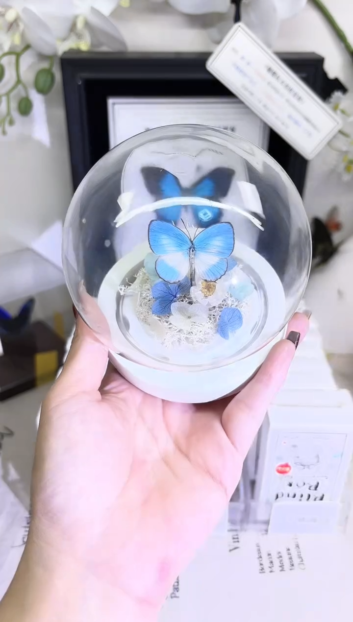 有机玻璃优雅灰蝶玻璃球造景款