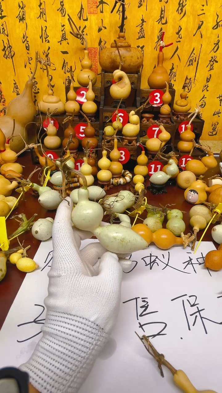 ·**育yutgkjyklyutliukygji 